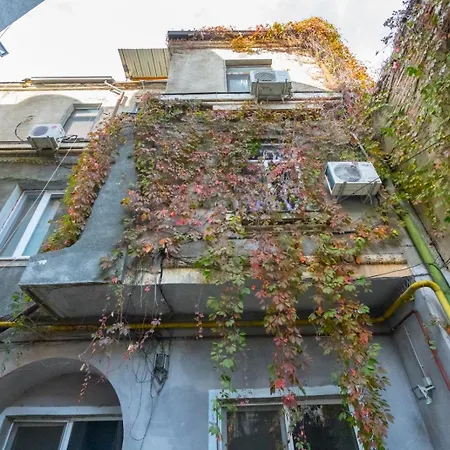 Serenity * Bucureşti