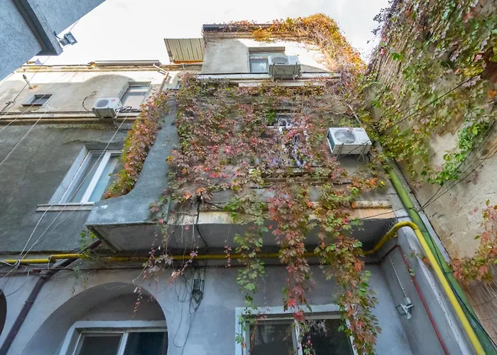 Serenity * Bucureşti